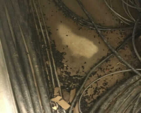 function does not exist