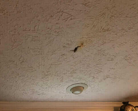 function does not exist